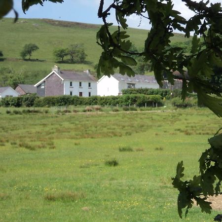 Merlin Cottages Llandovery Kültér fotó