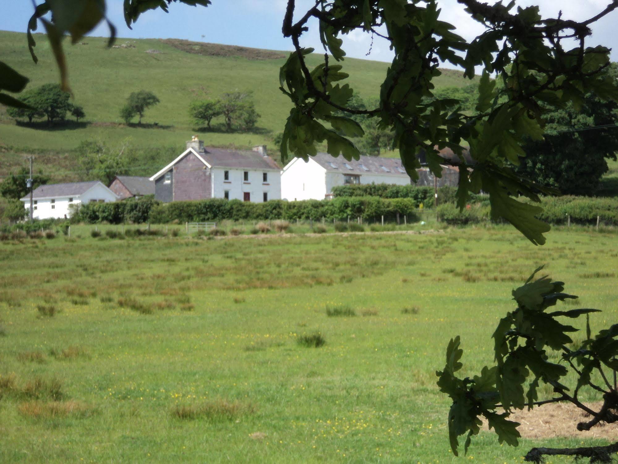 Merlin Cottages Llandovery Kültér fotó